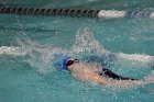 Swimming vs CGA  Wheaton College Swimming & Diving vs Coast Guard Academy. - Photo By: KEITH NORDSTROM : Wheaton, Swimming, diving